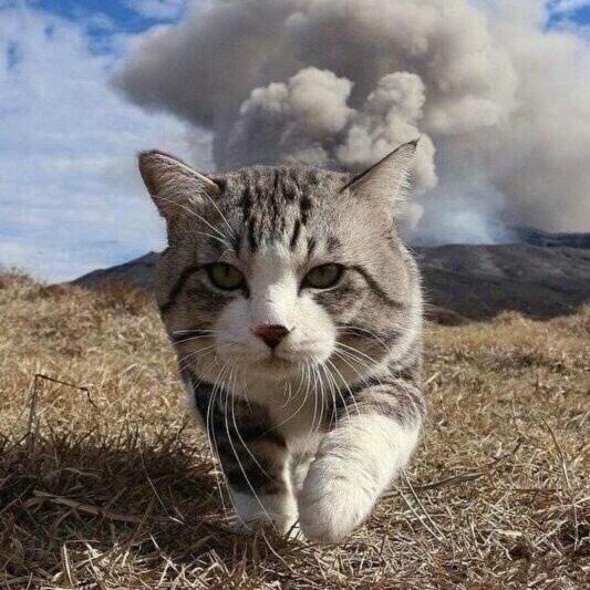 稳健二字抛脑后